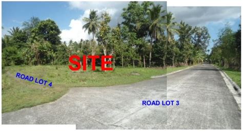 barangay concepcion san pablo city laguna